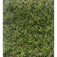 20 mm Çimhalı Bahçe Sarıotlu