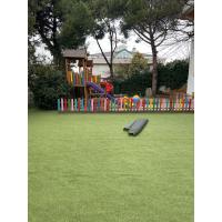 20 mm Çimhalı Bahçe Sarıotlu