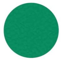 9570 Grass green Spor PVC Zemin Kaplama