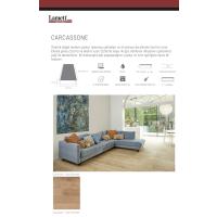 Lamett Carcassone