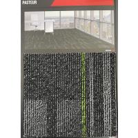Karohalı-Pasteur 15