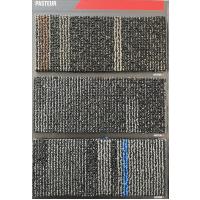 Karohalı-Pasteur
