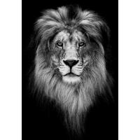 3D Aslan