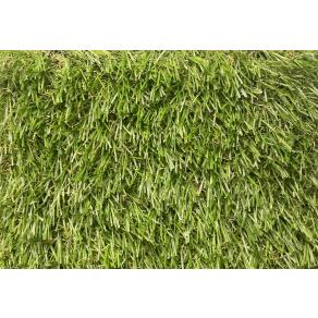 25 mm Çimhalı Sıena