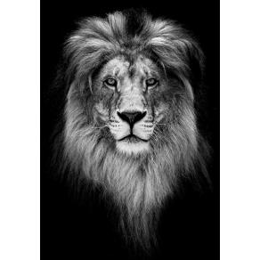 3D Aslan