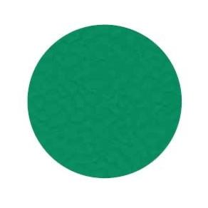 9570 Grass green Spor PVC Zemin Kaplama
