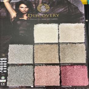 Discovery