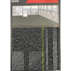 Karohalı-Pasteur 15